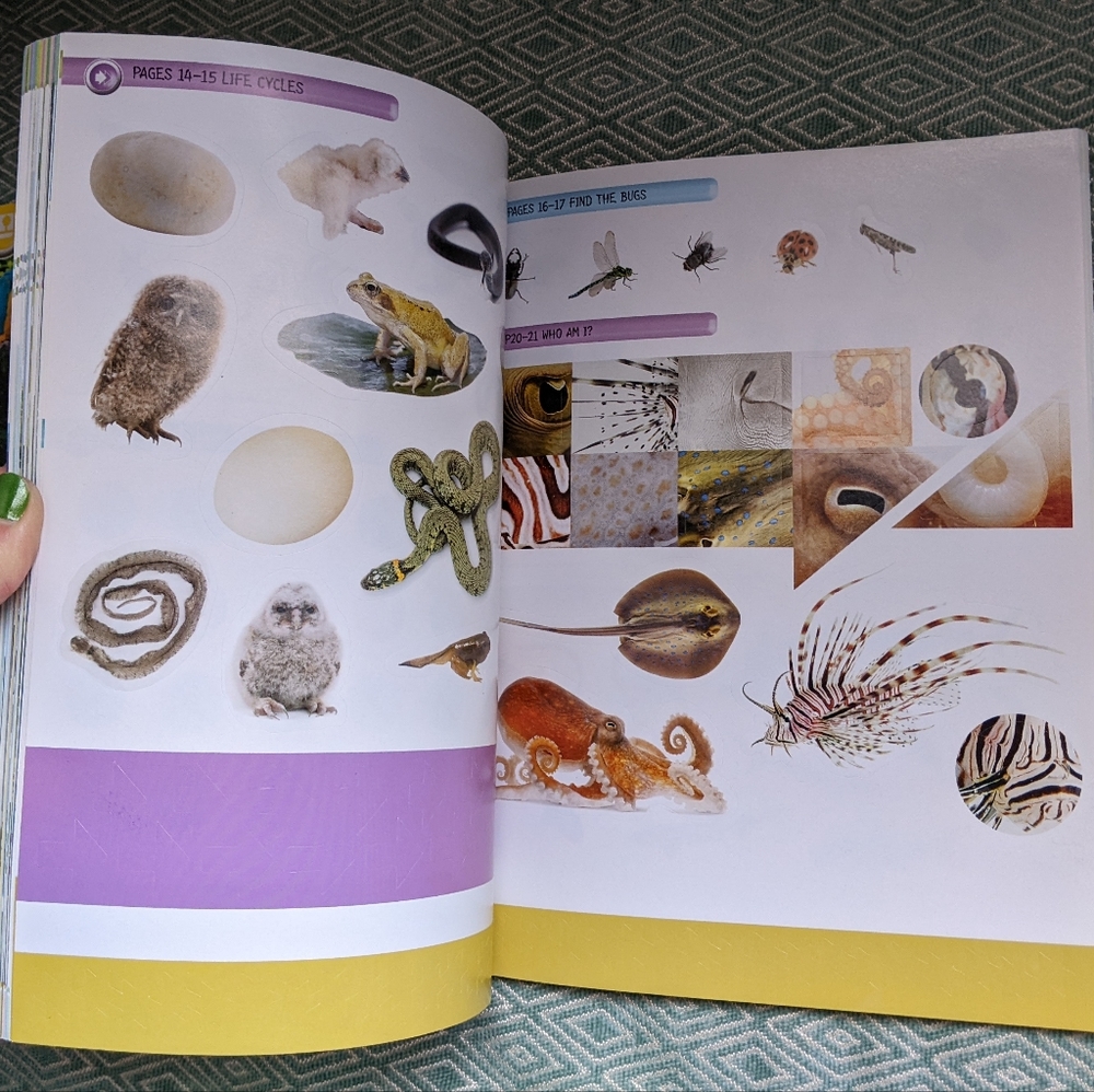 Smithsonian Animals - Ultimate Sticker Activity Collection - Picture 9 of 16